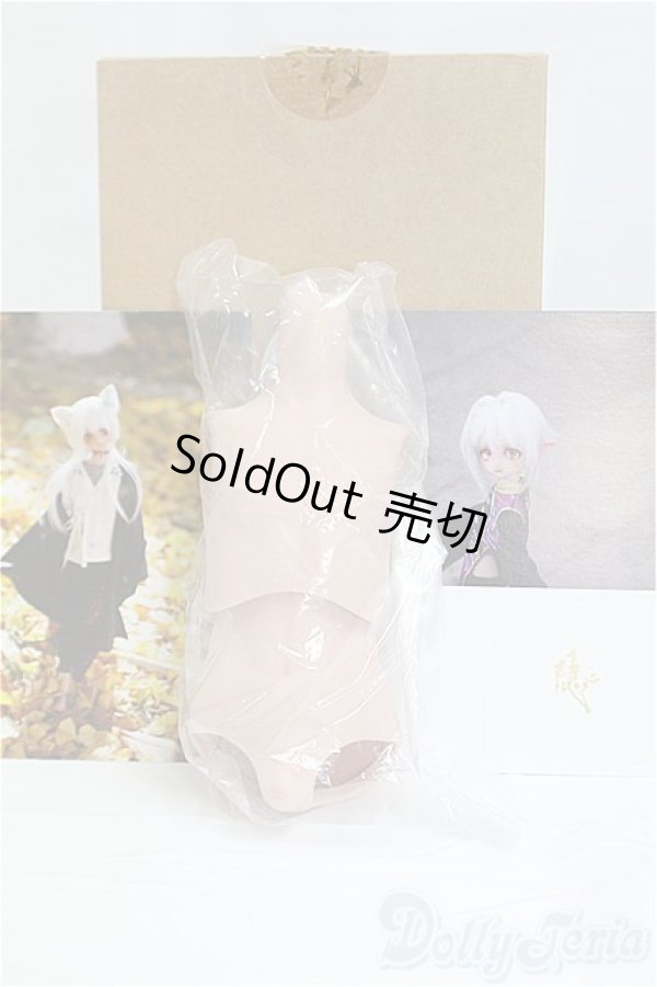 画像1: MDDサイズ/MDD用ボーイボディセット　kakuso様製/0 I-25-10-12-109-KD-ZI (1)