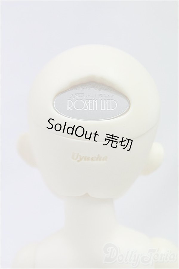 画像5: ROSEN　LIED/TUESDAY’S　CHILD　Basic Sage/BJD　球体関節人形 I-25-10-12-007-KD-ZI (5)