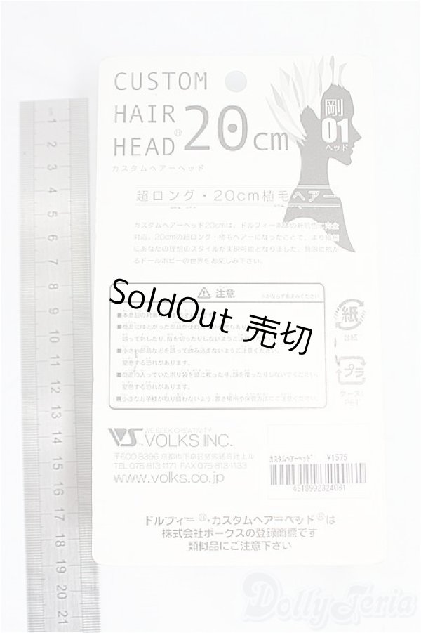画像2: VOLKS/カスタムヘアーヘッド/0 I-25-10-12-098-KD-ZI (2)
