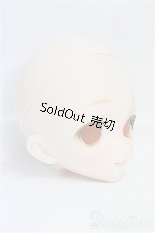 画像2: DD/DDH-10:カスタムヘッド/BJD　球体関節人形 I-25-10-12-115-KD-ZI (2)