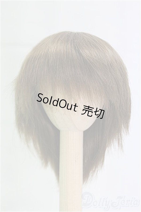 画像1: 6-7inch/ウィッグ/インチ　BJD　MJD　ドール用 I-25-10-12-045-KD-ZI (1)