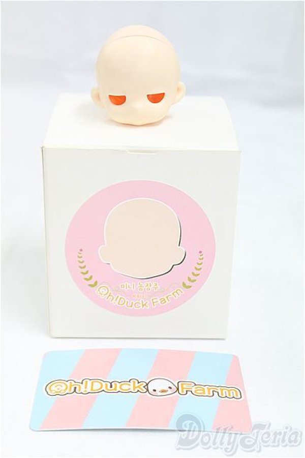 画像4: Oh!Duck Farm /1/12/Mini Planter Headノーメイクヘッド/0 I-25-10-26-087-KD-ZI (4)