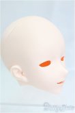 画像3: IMOMODOLL/1/3用ノーメイクヘッド：Canis-B/0 I-25-10-26-109-KD-ZI (3)