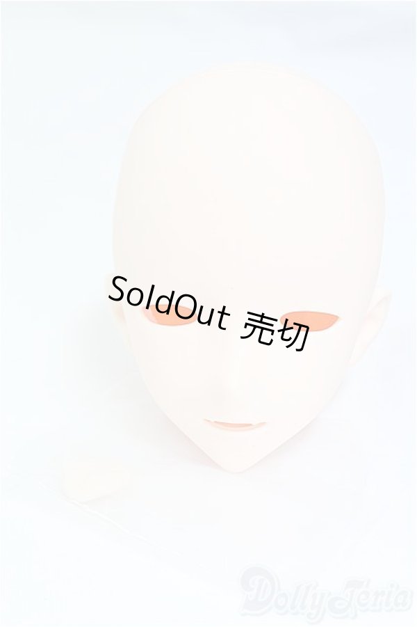 画像5: IMOMODOLL/1/3用ノーメイクヘッド：Canis-B/0 I-25-10-26-109-KD-ZI (5)