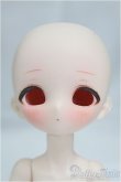 画像1: 【DOLK×Shoushou Doll】1/6/小兔豆 - 傷ついた天使ちゃん/BJD　球体関節人形 I-25-10-19-304-KD-ZI (1)