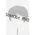画像: 8-9inch/ウィッグ/インチ BJD MJD ドール用 I-25-10-26-211-KD-ZI