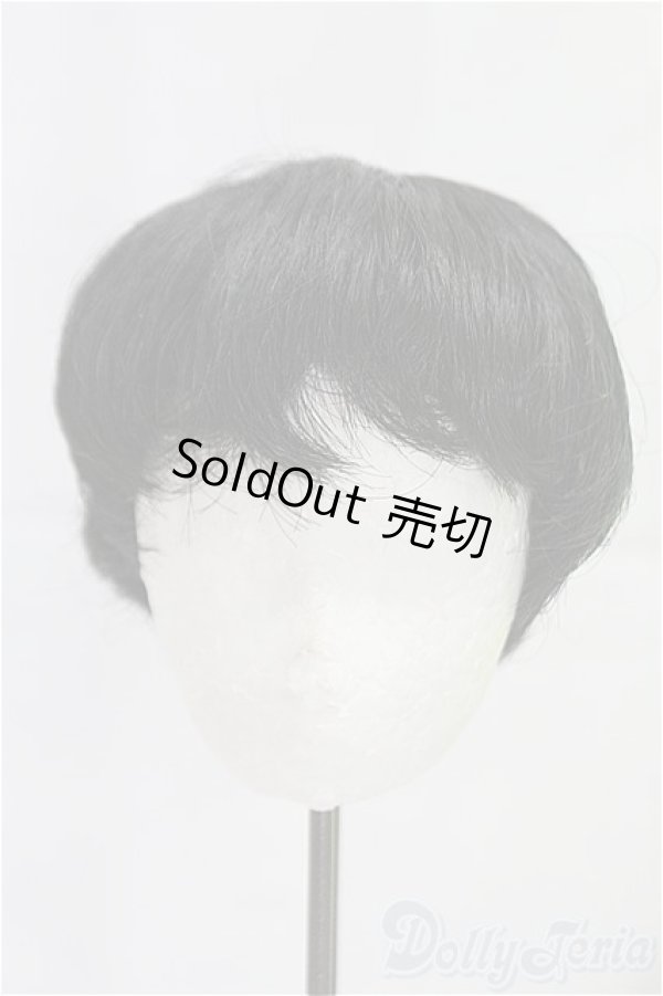 画像1: 8-9inch/ウィッグ/インチ　BJD　MJD　ドール用 I-25-10-26-211-KD-ZI (1)