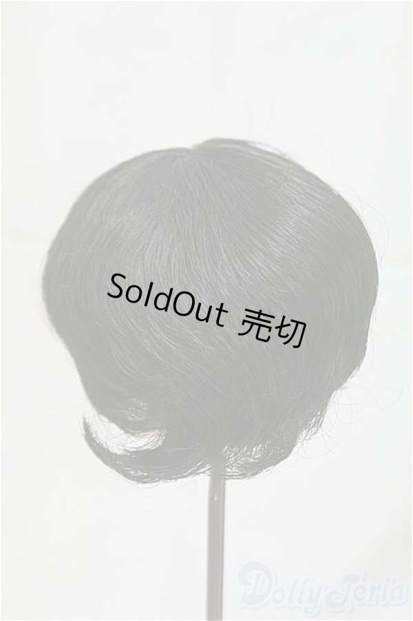 画像2: 8-9inch/ウィッグ/インチ　BJD　MJD　ドール用 I-25-10-26-211-KD-ZI (2)