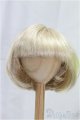 画像: 9-10inch/ウィッグ/インチ　BJD　MJD　ドール用 I-25-10-26-213-KD-ZI