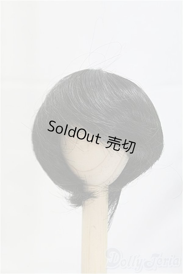 画像1: 7-8inch/ウィッグ/インチ　BJD　MJD　ドール用 I-25-10-26-215-KD-ZI (1)