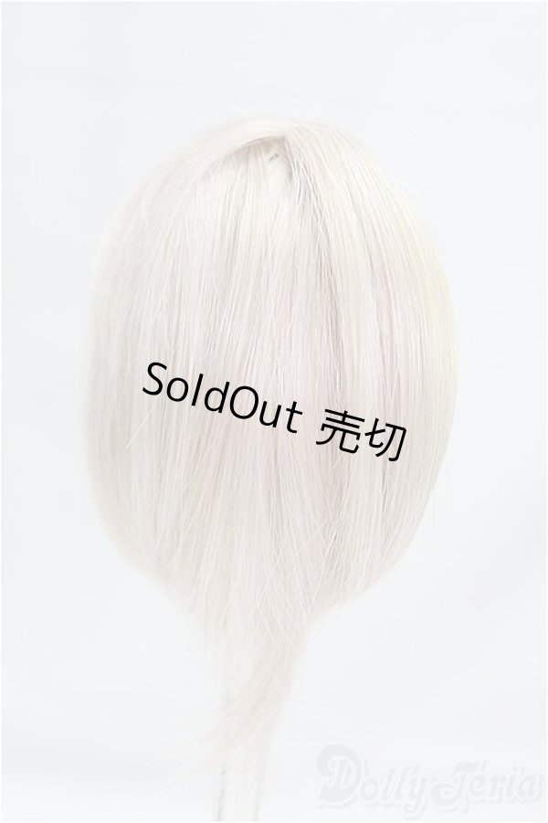 画像2: 4.5inch/ウィッグ/インチ　BJD　MJD　ドール用 I-25-10-26-206-KD-ZI (2)