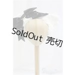 画像: MDD/OF:小物　カチューシャ/0 I-25-10-26-127-KD-ZI