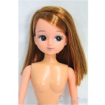 画像: リカちゃん/本体(リトルファクトリー製)/BJD 球体関節人形 I-25-10-12-103-KD-ZI