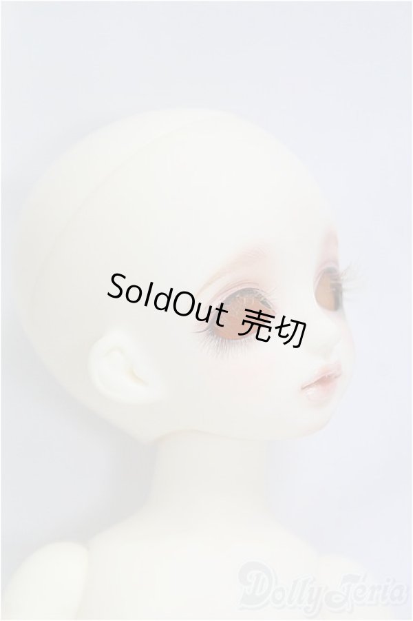 画像3: Rosen Lied /1/6/Tuesday's Child Limited  Ravie　/BJD　球体関節人形 I-25-10-12-009-KD-ZI (3)