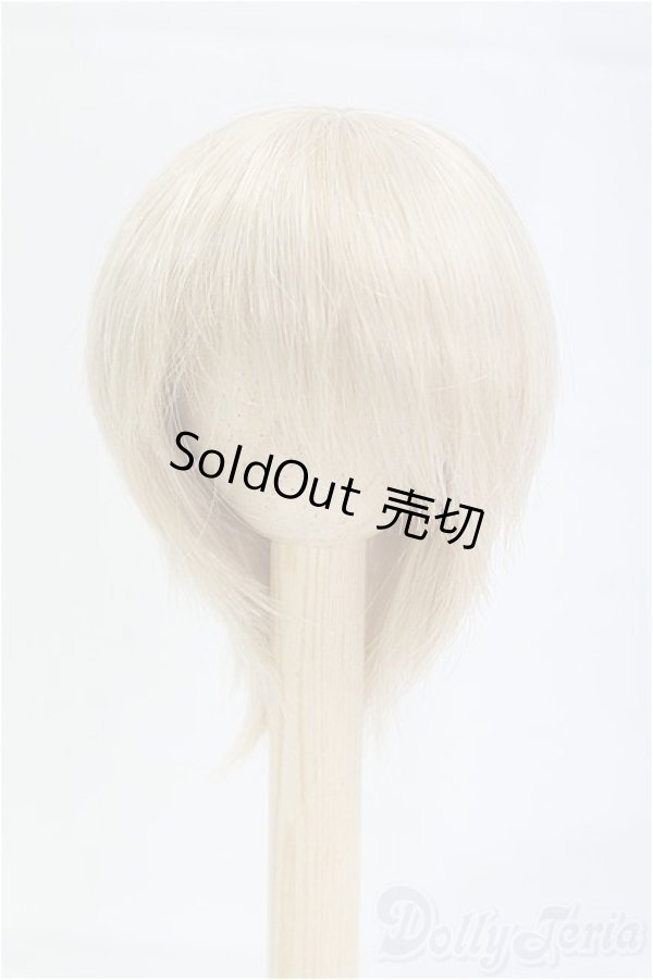 画像1: 6-7inch/ウィッグ/インチ　BJD　MJD　ドール用 I-25-10-12-095-KD-ZI (1)