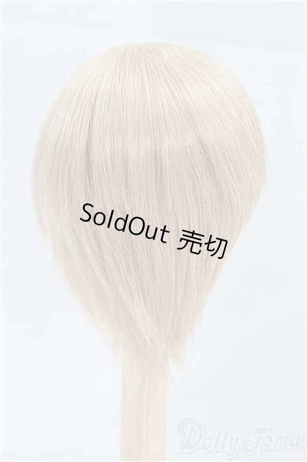 画像2: 6-7inch/ウィッグ/インチ　BJD　MJD　ドール用 I-25-10-12-095-KD-ZI (2)