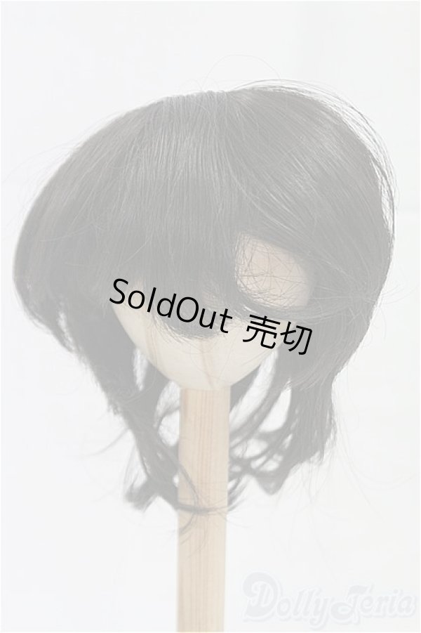 画像1: 9inch/ウィッグ/インチ　BJD　MJD　ドール用 I-25-10-19-070-KD-ZI (1)