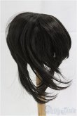 画像2: 9inch/ウィッグ/インチ　BJD　MJD　ドール用 I-25-10-19-070-KD-ZI (2)