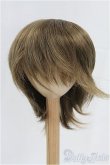 画像1: 9inch/ウィッグ/インチ　BJD　MJD　ドール用 I-25-10-19-071-KD-ZI (1)