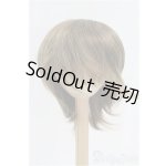 画像: 9inch/ウィッグ/インチ BJD MJD ドール用 I-25-10-19-071-KD-ZI