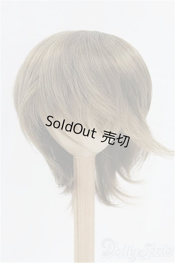 画像1: 9inch/ウィッグ/インチ　BJD　MJD　ドール用 I-25-10-19-071-KD-ZI (1)