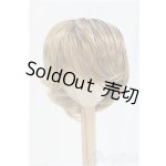 画像: 9-10inch/ウィッグ 屋根裏と地下室/インチ BJD MJD ドール用 I-25-10-19-072-KD-ZI