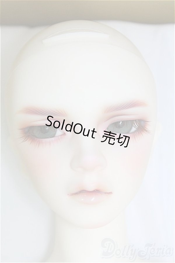 画像2: SDGr男の子/Williams〜The Diligent Scholar/BJD　球体関節人形 I-25-10-12-157-KD-ZI (2)