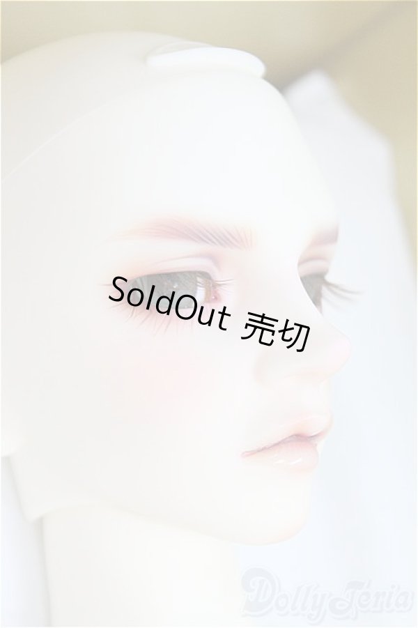 画像3: SDGr男の子/Williams〜The Diligent Scholar/BJD　球体関節人形 I-25-10-12-157-KD-ZI (3)