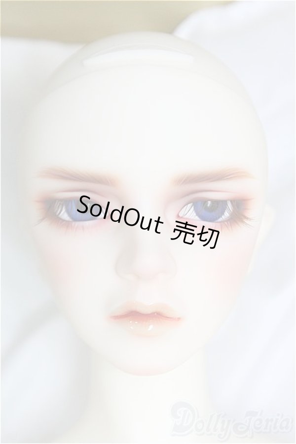 画像1: SDGr男の子/Williams〜The Diligent Scholar/BJD　球体関節人形 I-25-10-12-158-KD-ZI (1)
