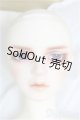 画像: SDGr男の子/Williams〜The Diligent Scholar/BJD　球体関節人形 I-25-10-12-158-KD-ZI
