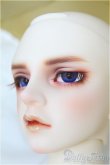 画像3: SDGr男の子/Williams〜The Diligent Scholar/BJD　球体関節人形 I-25-10-12-158-KD-ZI (3)