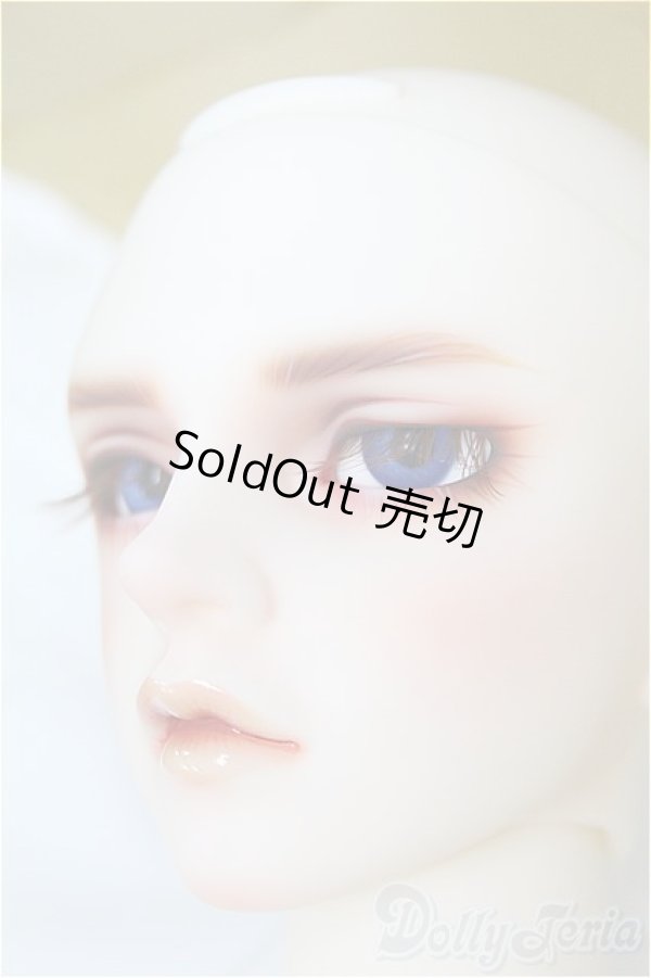 画像3: SDGr男の子/Williams〜The Diligent Scholar/BJD　球体関節人形 I-25-10-12-158-KD-ZI (3)