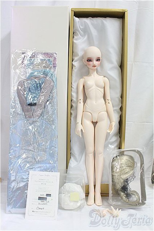画像5: SDGr女の子/エルサ ディズニーコレクション アナと雪の女王/BJD　球体関節人形 I-25-10-12-159-KD-ZI (5)
