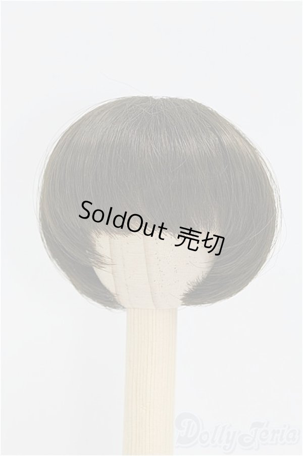 画像1: 6inch/ウィッグ/インチ　BJD　MJD　ドール用 I-25-10-19-191-KD-ZI (1)