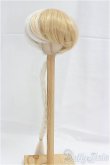 画像1: 9inch/ウィッグ/インチ　BJD　MJD　ドール用 I-25-10-19-023-KD-ZI (1)