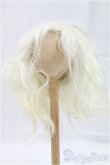 画像1: 10-inch/ウィッグ モヘア/インチ　BJD　MJD　ドール用 I-25-10-26-009-KD-ZI (1)