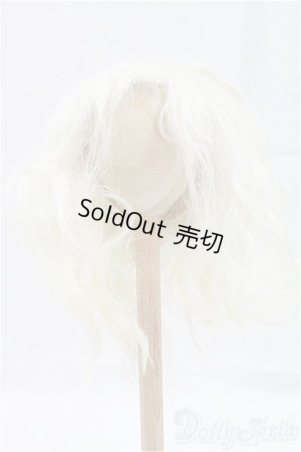 画像1: 10-inch/ウィッグ モヘア/インチ　BJD　MJD　ドール用 I-25-10-26-009-KD-ZI (1)