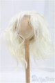 画像: 10-inch/ウィッグ モヘア/インチ　BJD　MJD　ドール用 I-25-10-26-009-KD-ZI