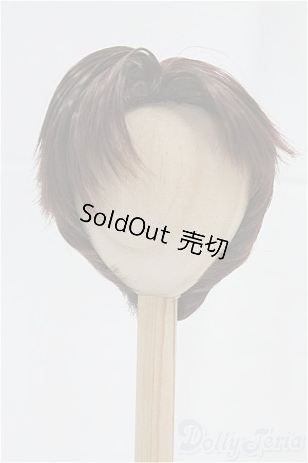 画像1: 8-9inch/ウィッグ/インチ　BJD　MJD　ドール用 I-25-10-26-015-KD-ZI (1)