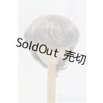 画像: 8-9inch/ウィッグ/インチ　BJD　MJD　ドール用 I-25-10-26-016-KD-ZI