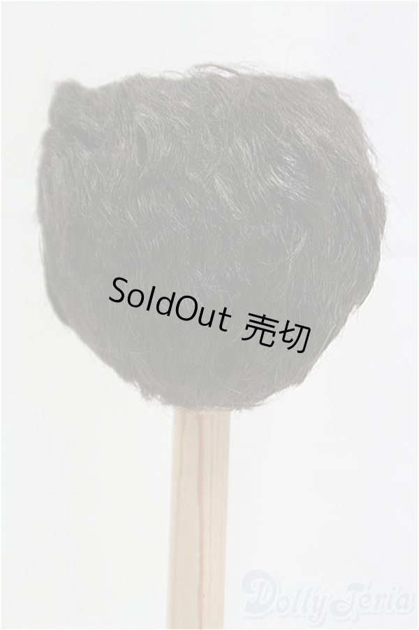 画像2: 8-9inch/ウィッグ/インチ　BJD　MJD　ドール用 I-25-10-26-017-KD-ZI (2)