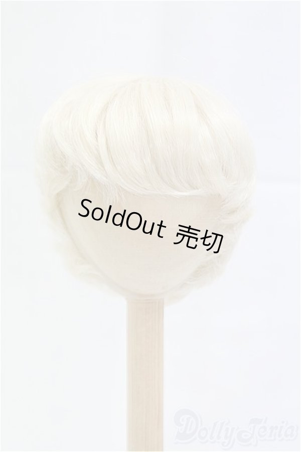 画像1: 8-9inch/ウィッグ/インチ　BJD　MJD　ドール用 I-25-10-26-014-KD-ZI (1)