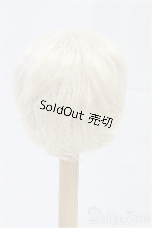 画像2: 8-9inch/ウィッグ/インチ　BJD　MJD　ドール用 I-25-10-26-014-KD-ZI (2)