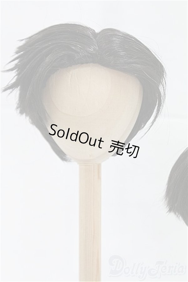 画像3: 8-9inch/ウィッグ/インチ　BJD　MJD　ドール用 I-25-10-26-011-KD-ZI (3)