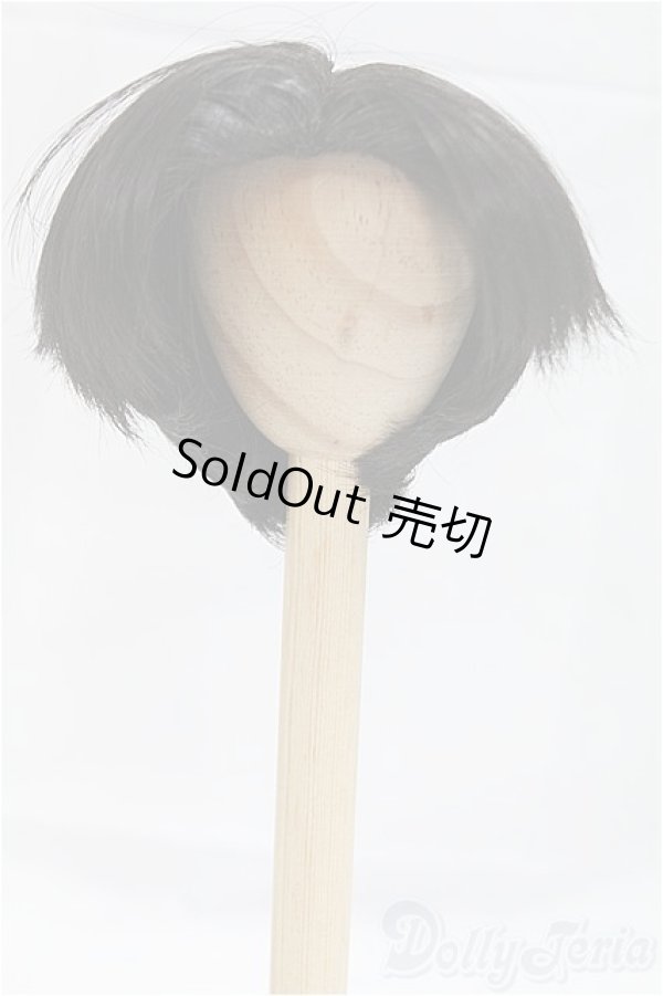 画像4: 8-9inch/ウィッグ/インチ　BJD　MJD　ドール用 I-25-10-26-011-KD-ZI (4)