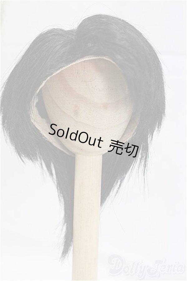 画像4: 8-9inch/ウィッグ/インチ　BJD　MJD　ドール用 I-25-10-26-012-KD-ZI (4)