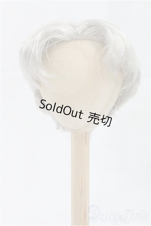 画像3: 8-8.5inch/ウィッグ/インチ　BJD　MJD　ドール用 I-25-10-26-013-KD-ZI (3)