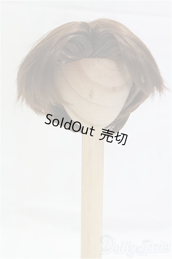 画像4: 8-8.5inch/ウィッグ/インチ　BJD　MJD　ドール用 I-25-10-26-013-KD-ZI (4)