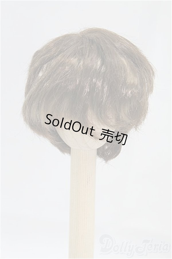 画像1: 6-7inch/ウィッグ/インチ　BJD　MJD　ドール用 I-25-10-26-028-KD-ZI (1)