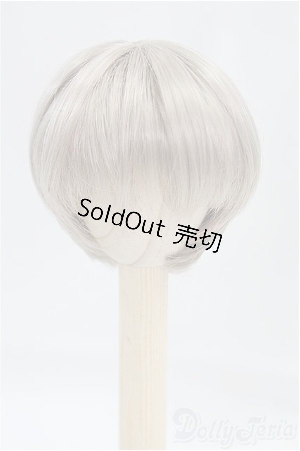 画像1: 6inch/ウィッグ/インチ　BJD　MJD　ドール用 I-25-10-26-024-KD-ZI (1)